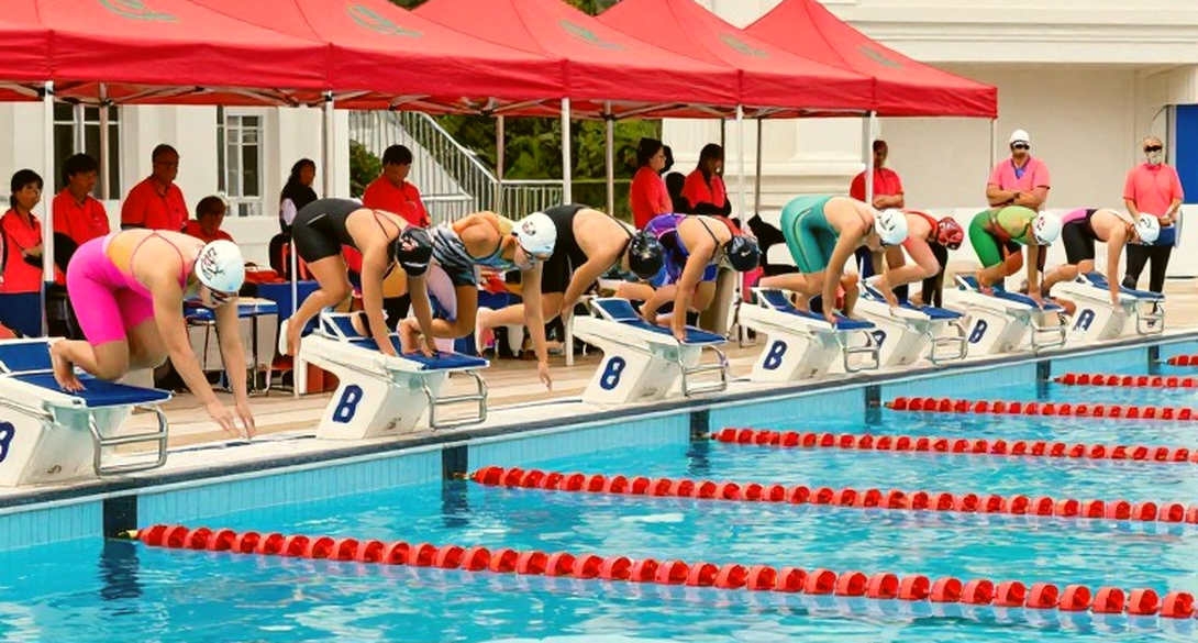 Bơi lội Việt Nam qua lăng kính dữ liệu: Điều bảng splits nói mà khán đài không nghe
